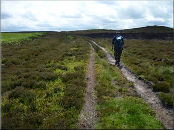 Following this moorland track to Brown Rigg End